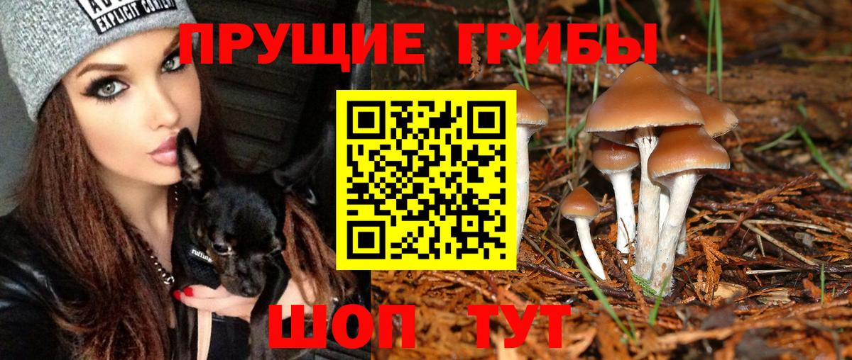 наркотики  Псилоцибиновые грибы мухоморы  Вход с VPN  Дзержинск 