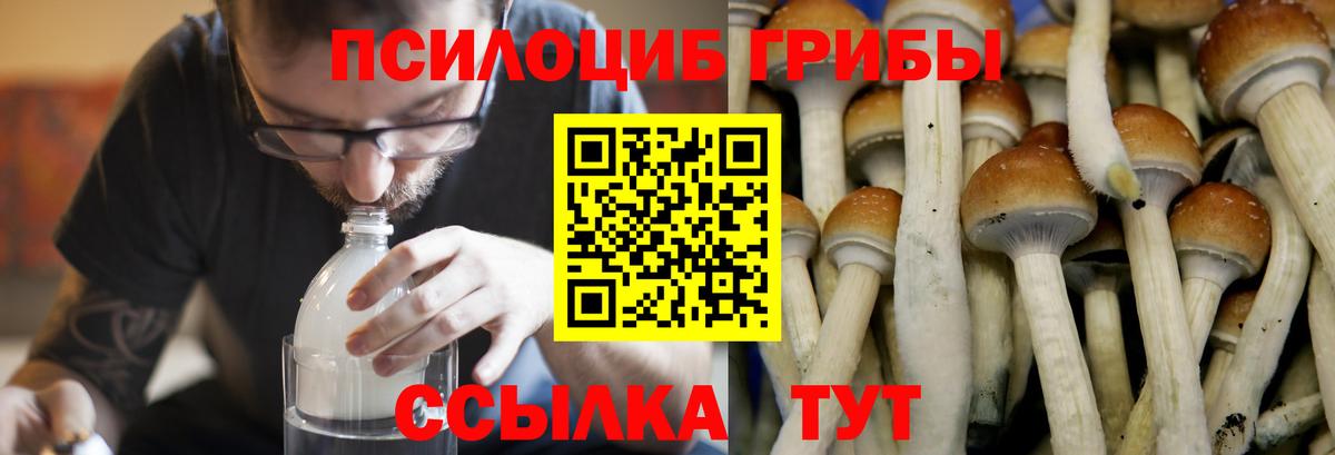 Псилоцибиновые грибы MAGIC MUSHROOMS Дзержинск